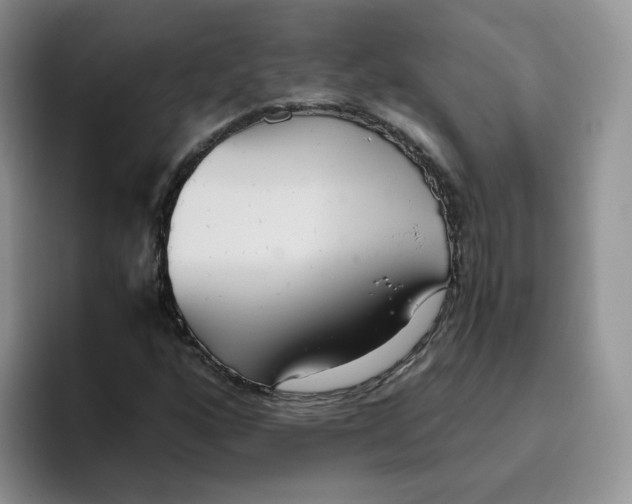 X0000093531160200711091752