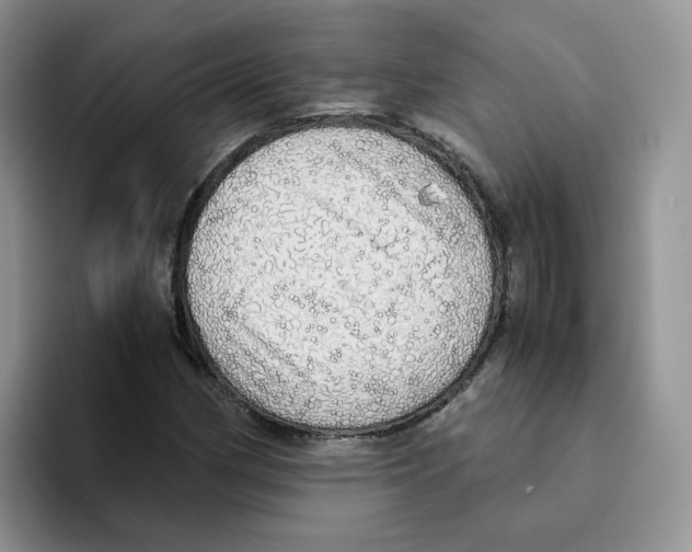 X0000093531162200711091752