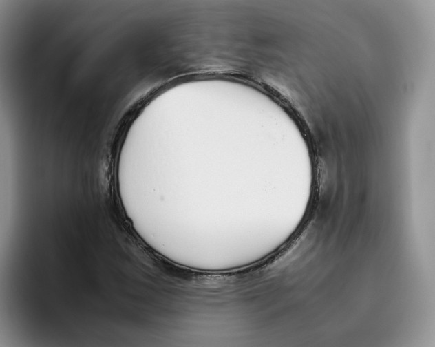 X0000093531163200711091752