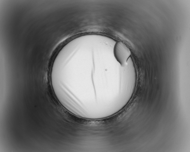 X0000093531166200711091752