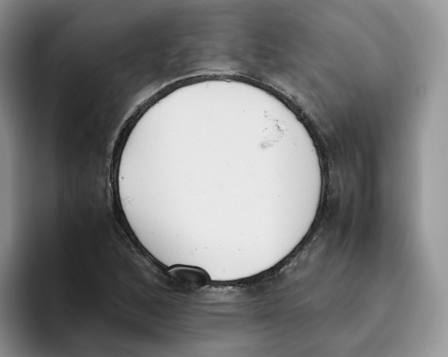 X0000093531168200711091752
