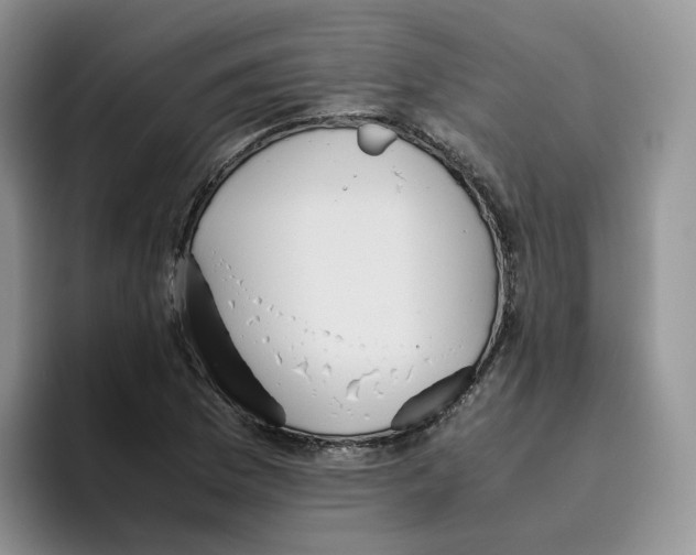 X0000093531169200711091752