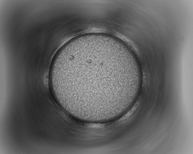 X0000093531170200711091752
