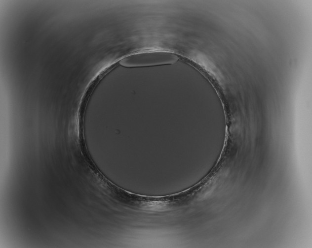 X0000093531173200711091752