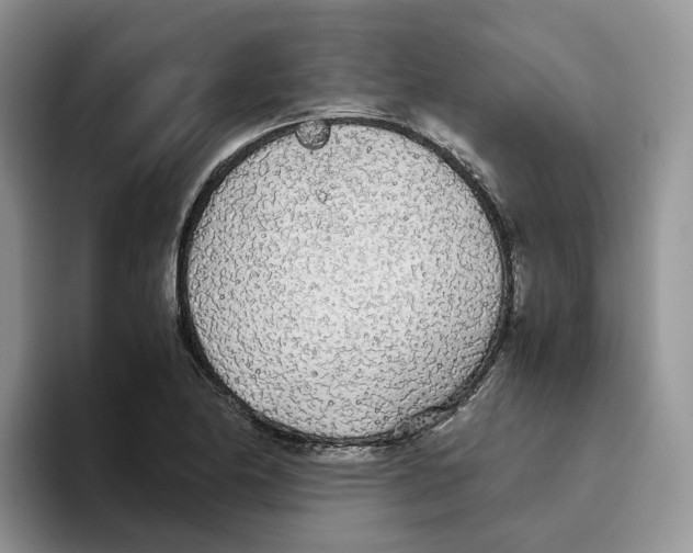 X0000093531174200711091752