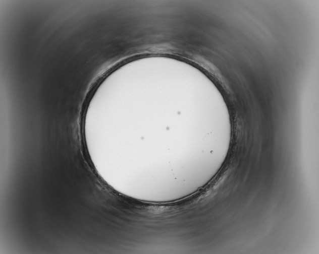 X0000093531176200711091752