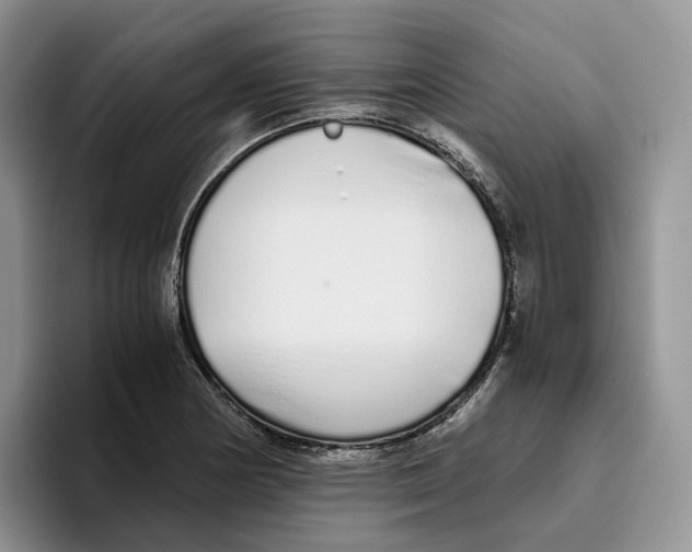 X0000093531178200711091752