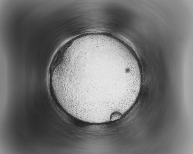 X0000093531179200711091752