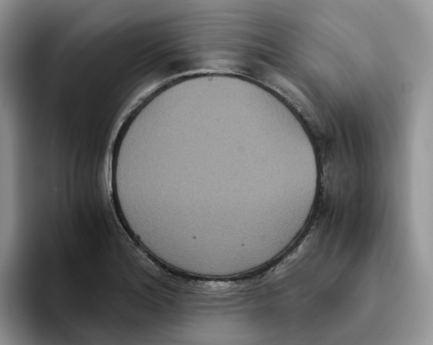 X0000093531180200711091752