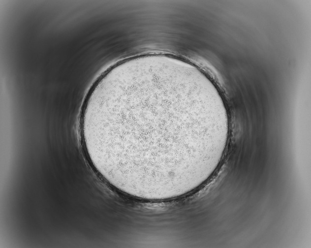 X0000093531182200711091752