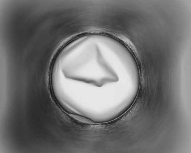 X0000093531183200711091752