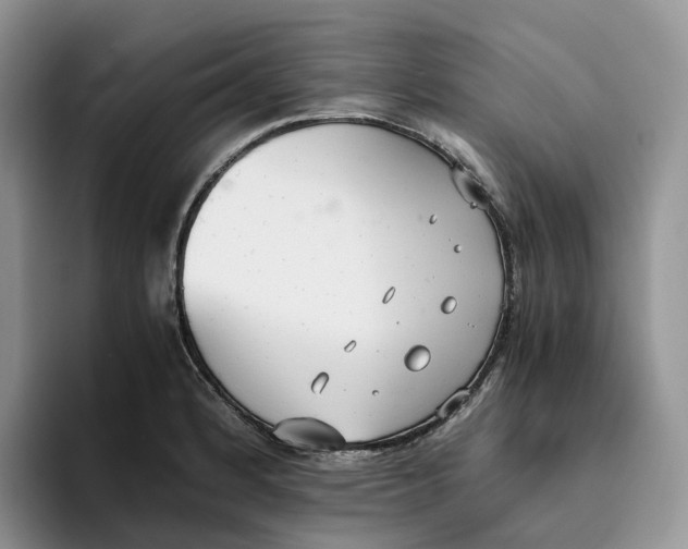 X0000093531184200711091752