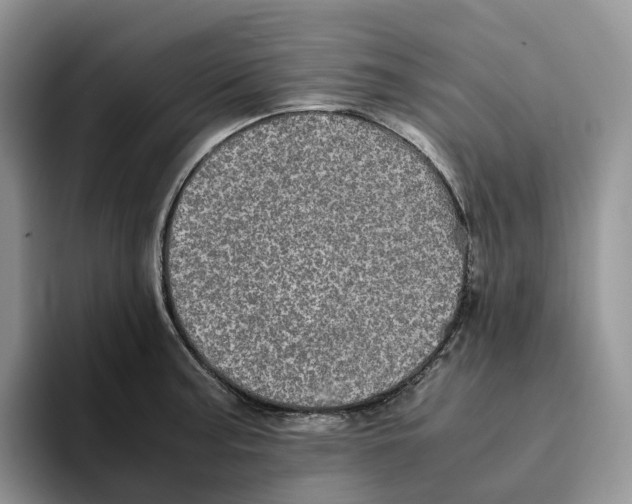 X0000093531187200711091752