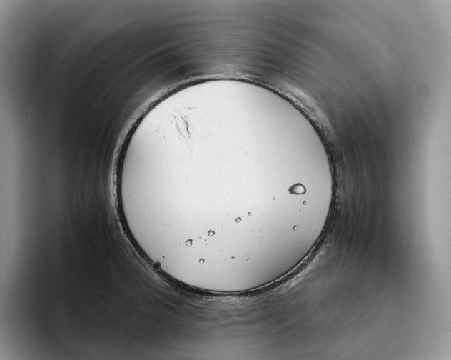 X0000093531188200711091752