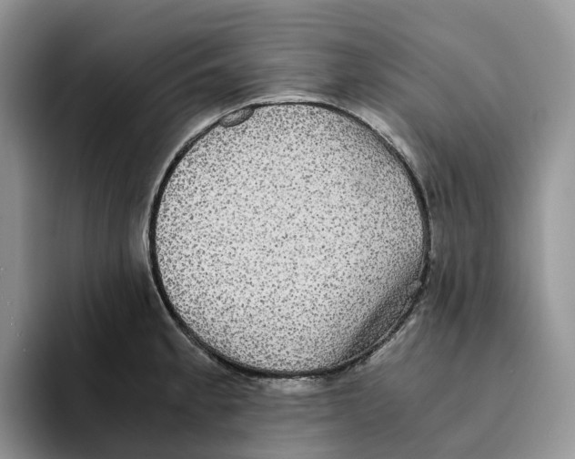X0000093531189200711091752