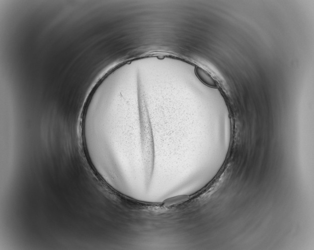 X0000093531190200711091752