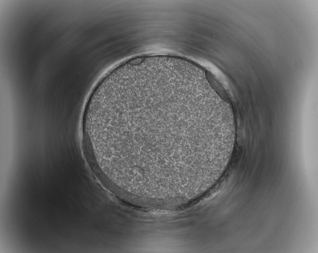 X0000093531191200711091752