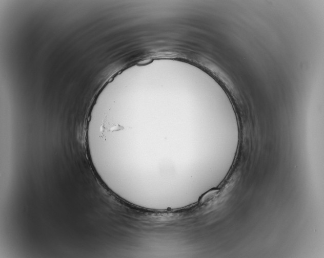 X0000093531193200711091752