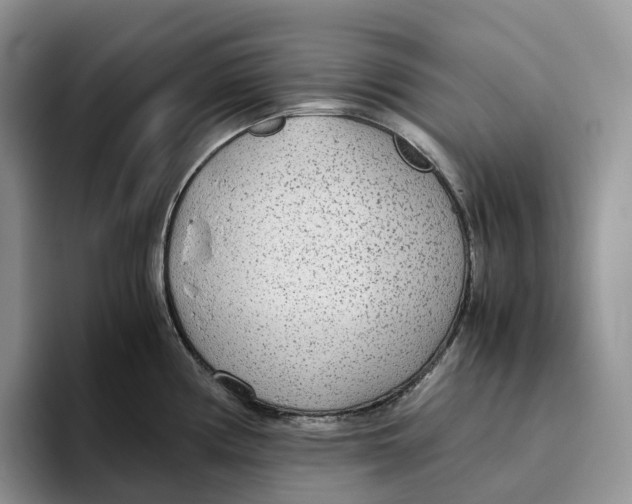 X0000093531194200711091752