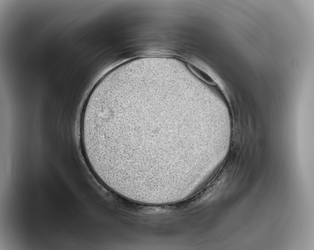 X0000093531195200711091752