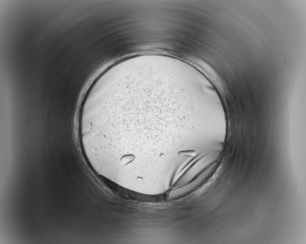 X0000093531196200711091752