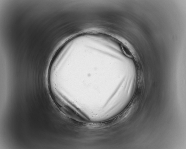 X0000093531199200711091752