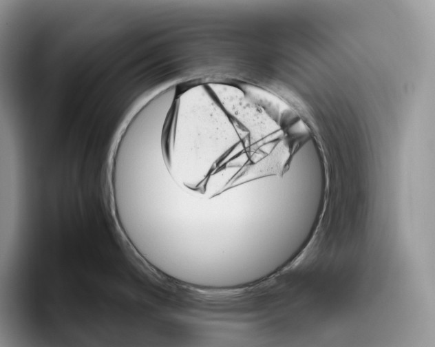 X0000093531200200711091752