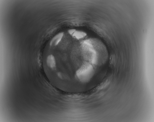 X0000093531202200711091751