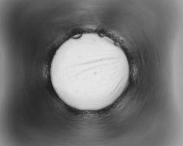 X0000093531204200711091751