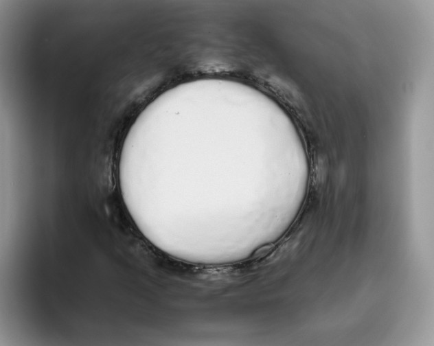 X0000093531205200711091751