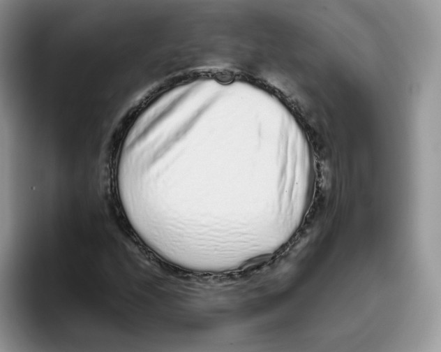 X0000093531208200711091752