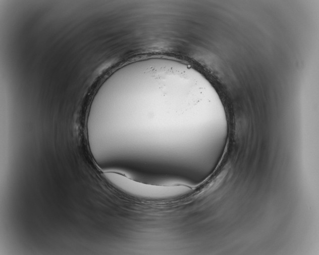 X0000093531210200711091752