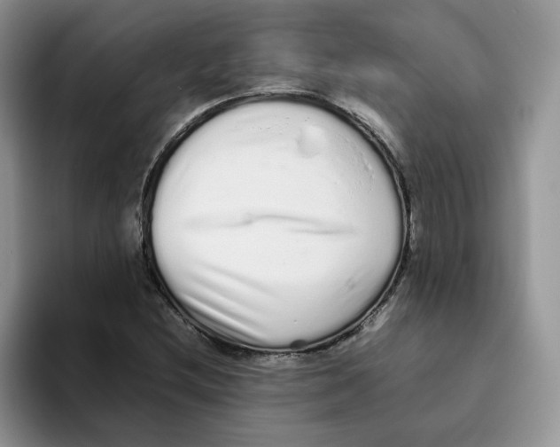 X0000093531212200711091752