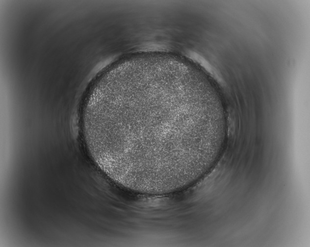 X0000093531213200711091752