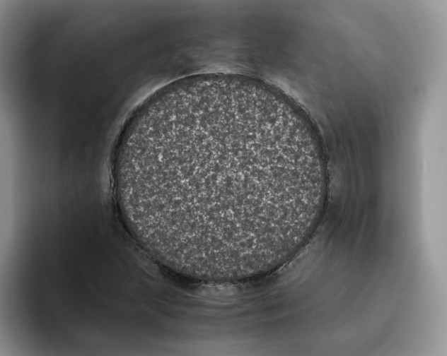 X0000093531215200711091752