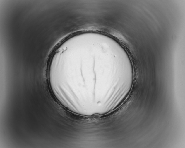 X0000093531216200711091752