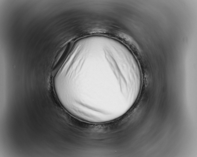 X0000093531217200711091752