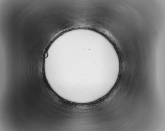 X0000093531220200711091752