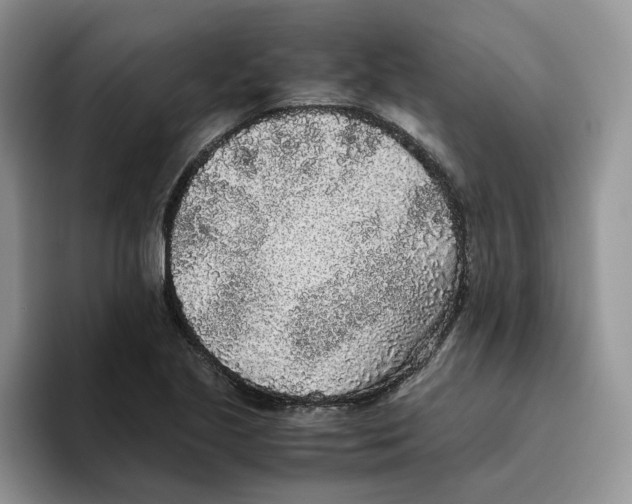 X0000093531221200711091752