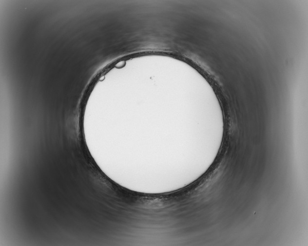 X0000093531222200711091752