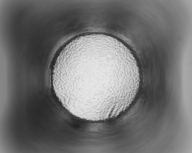 X0000093531223200711091752