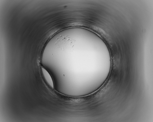 X0000093531225200711091752