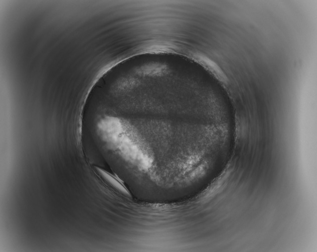 X0000093531226200711091752
