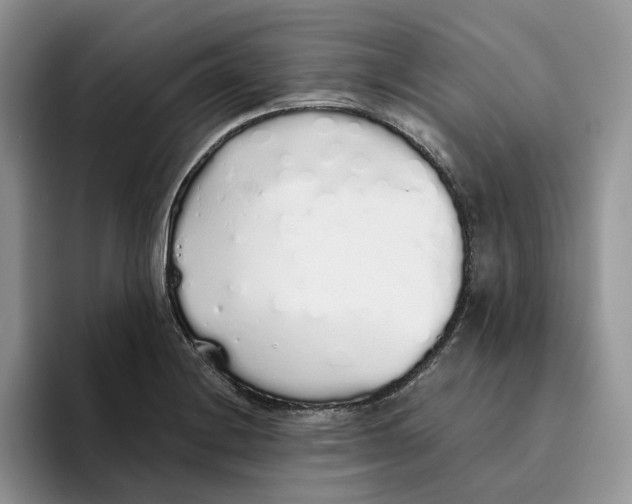 X0000093531228200711091752