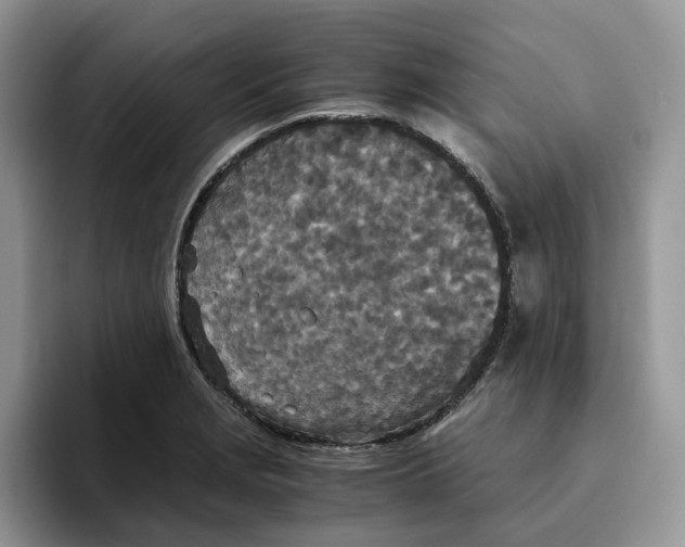 X0000093531229200711091752