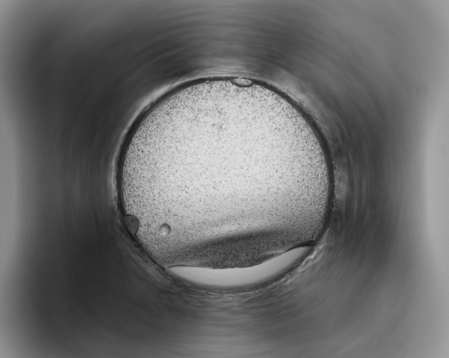 X0000093531230200711091752