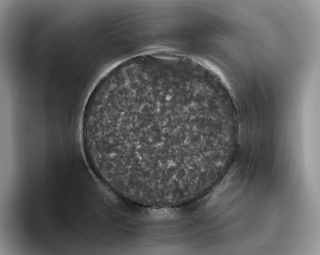 X0000093531231200711091752