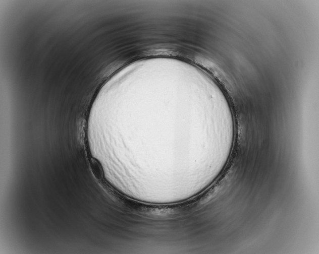 X0000093531233200711091752