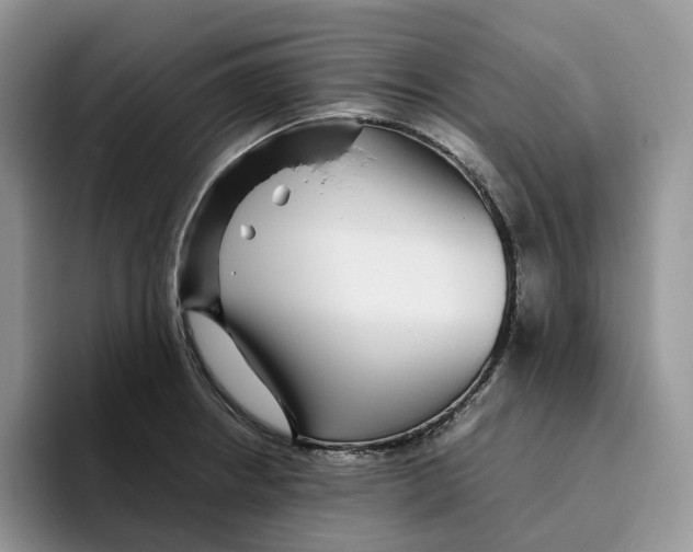 X0000093531234200711091752