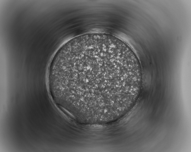 X0000093531235200711091752